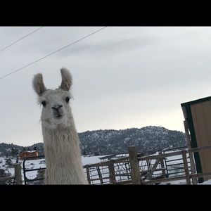 Meet your Posher, Elaine